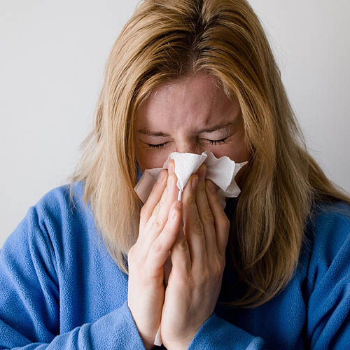 Vue interieure de la Pharmacie Brebion
